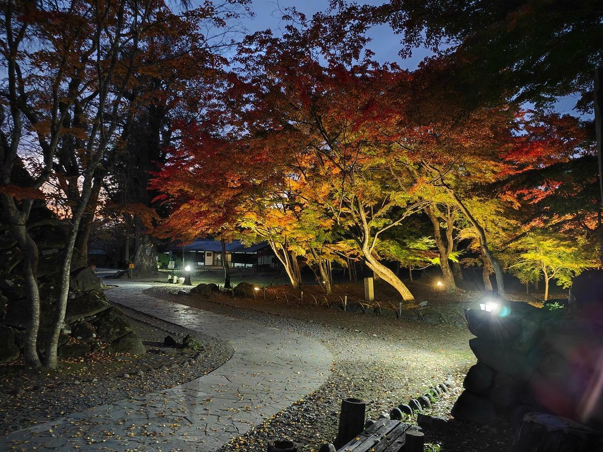 小諸懐古園紅葉ヶ丘