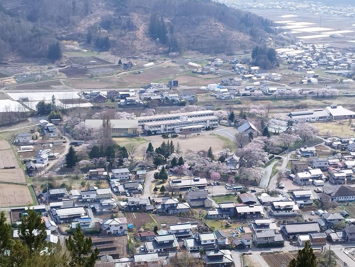 桜開花時の龍岡城跡を展望台から見た風景