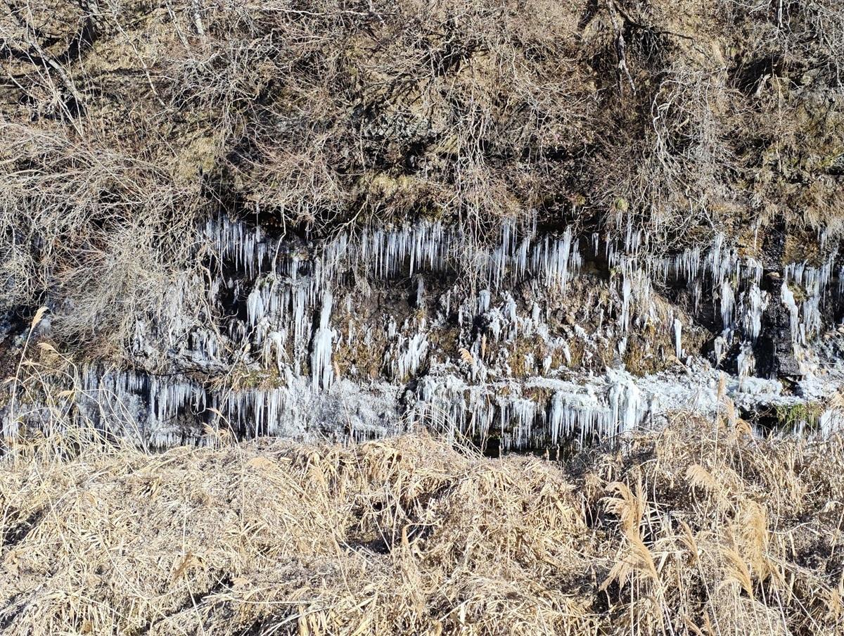 2025年1月10日の「春日の氷柱」