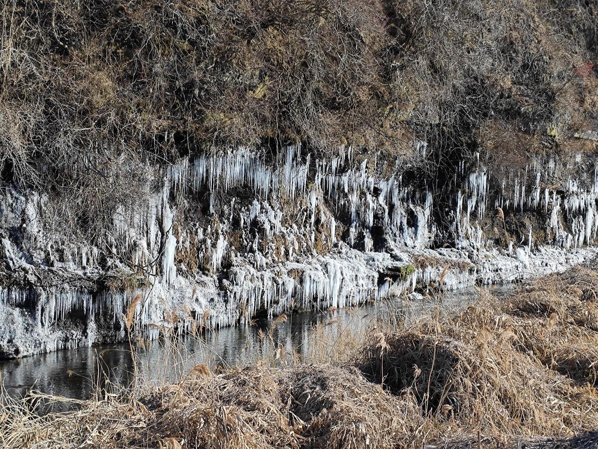 2025年1月10日の「春日の氷柱」