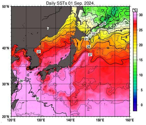 出典：気象庁　日別海面水温　2024年9月1日