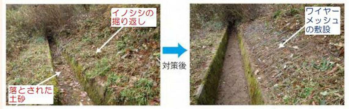 出典：農林水産省 農村振興局 農村政策部　鳥獣対策・農村環境課　農村地域（農地・農業用施設）へのイノシシ・シカ侵入防止対策の手引き