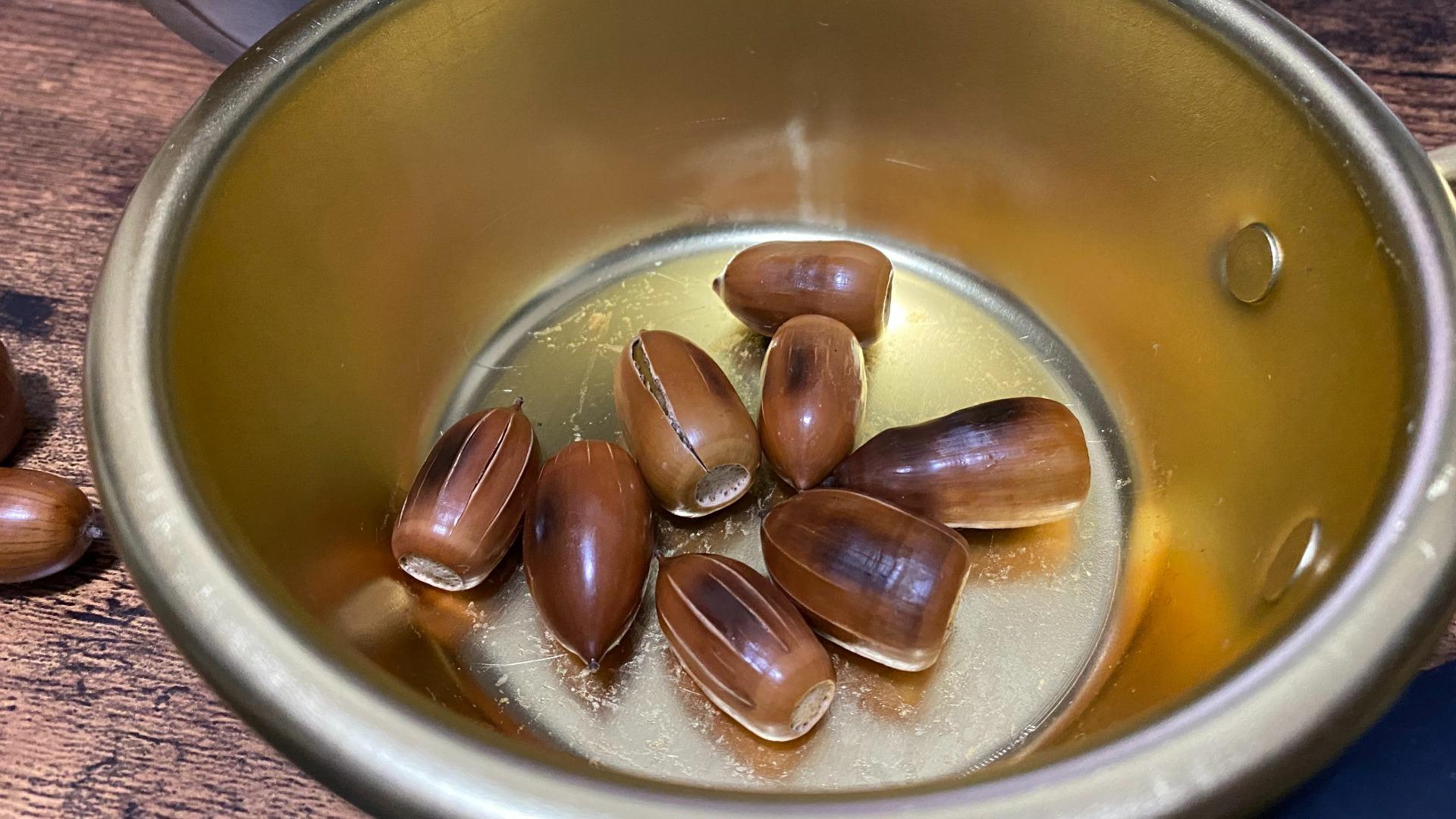 マテバシイ 食用可 マテバ椎 15㎏+α 秋の味覚 食べられる