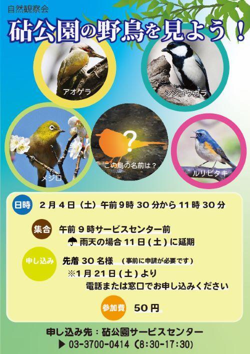 砧公園の野鳥を見よう！（自然観察会）