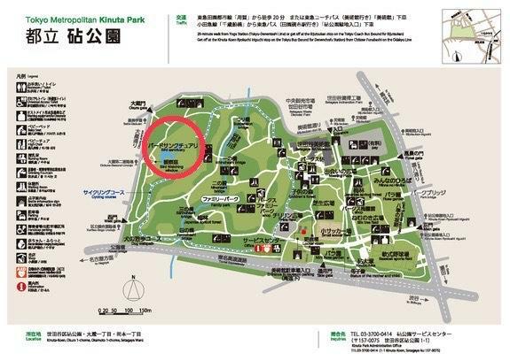 砧公園地図