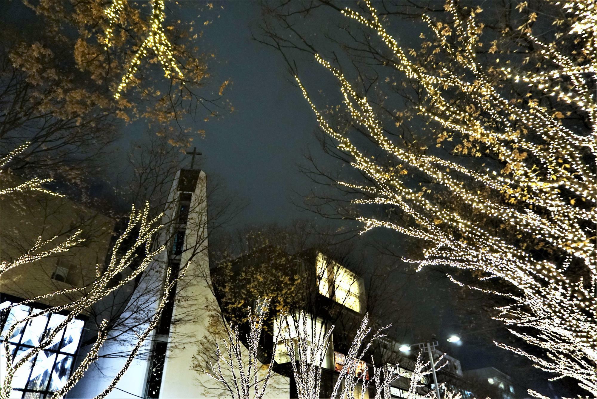 東京ユニオン・チャーチ前。建築家・鈴木エドワード氏による白いタワーとクロスが、光り輝くケヤキに抱かれて凛と浮かび上がる