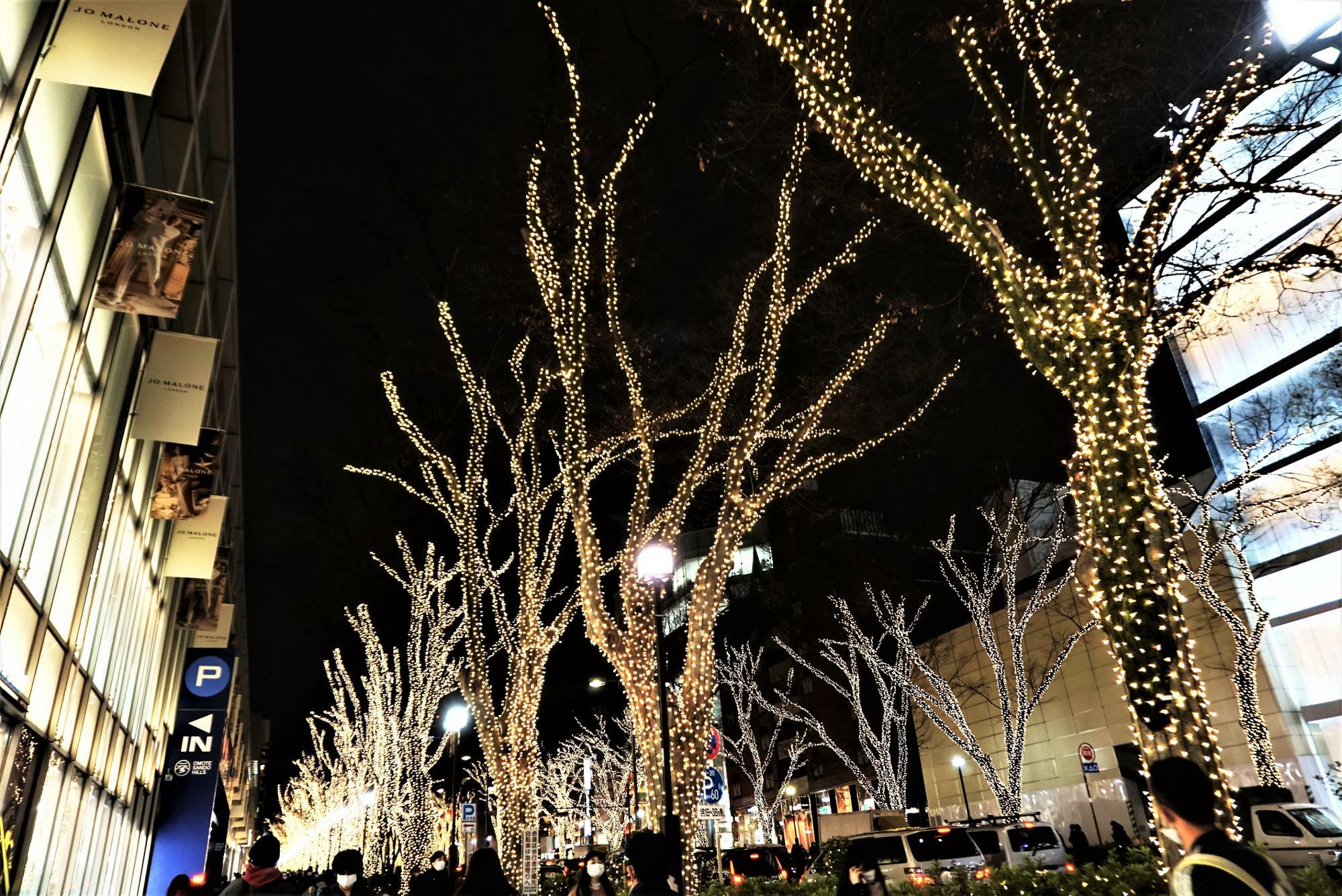 1991年から始まった表参道イルミネーションは、冬の東京の風物詩。