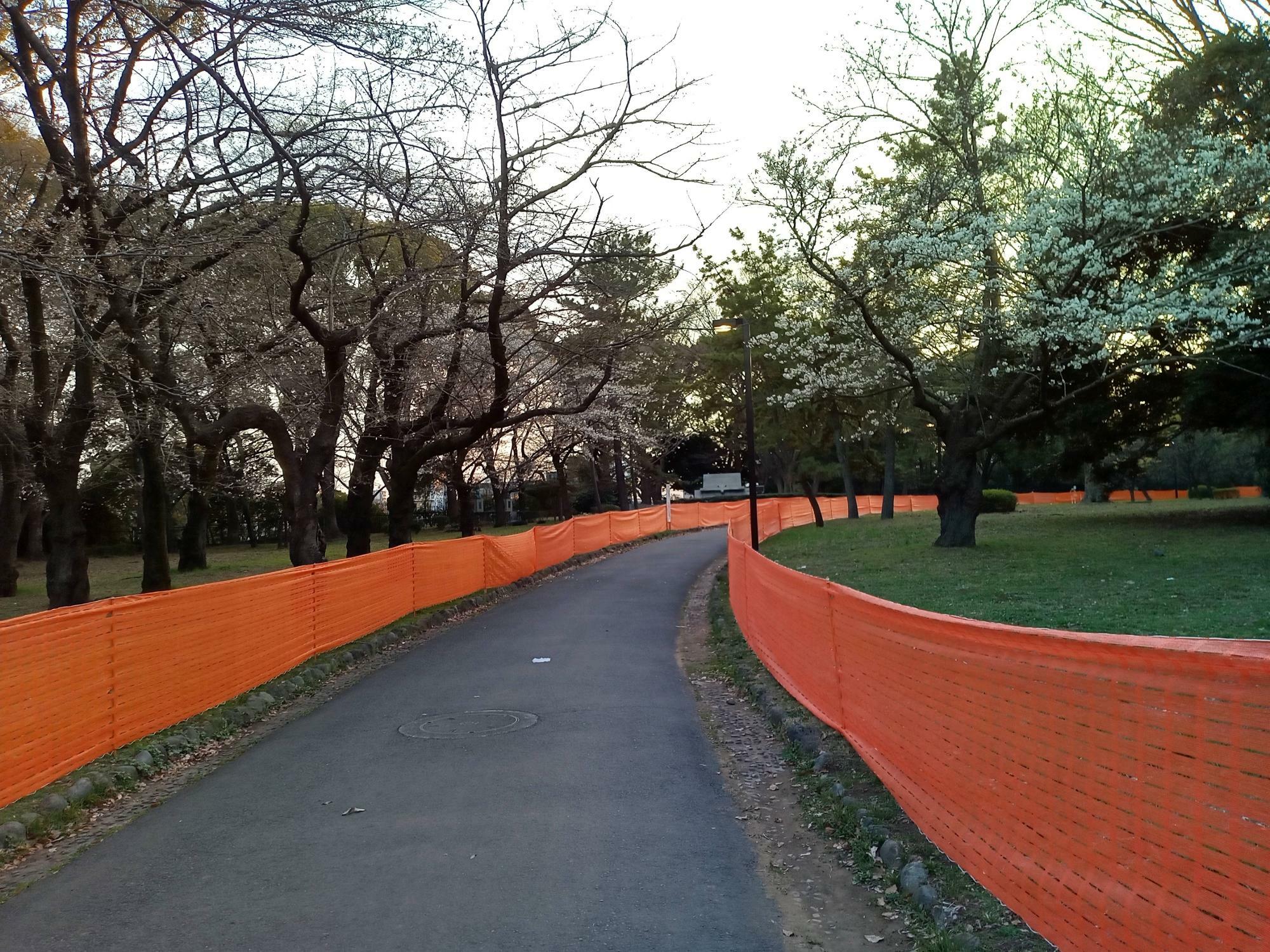 現代アーティスト クリストの作品みたいなオレンジシート。代々木公園が散歩ルートな住人としては、複雑な感情…。