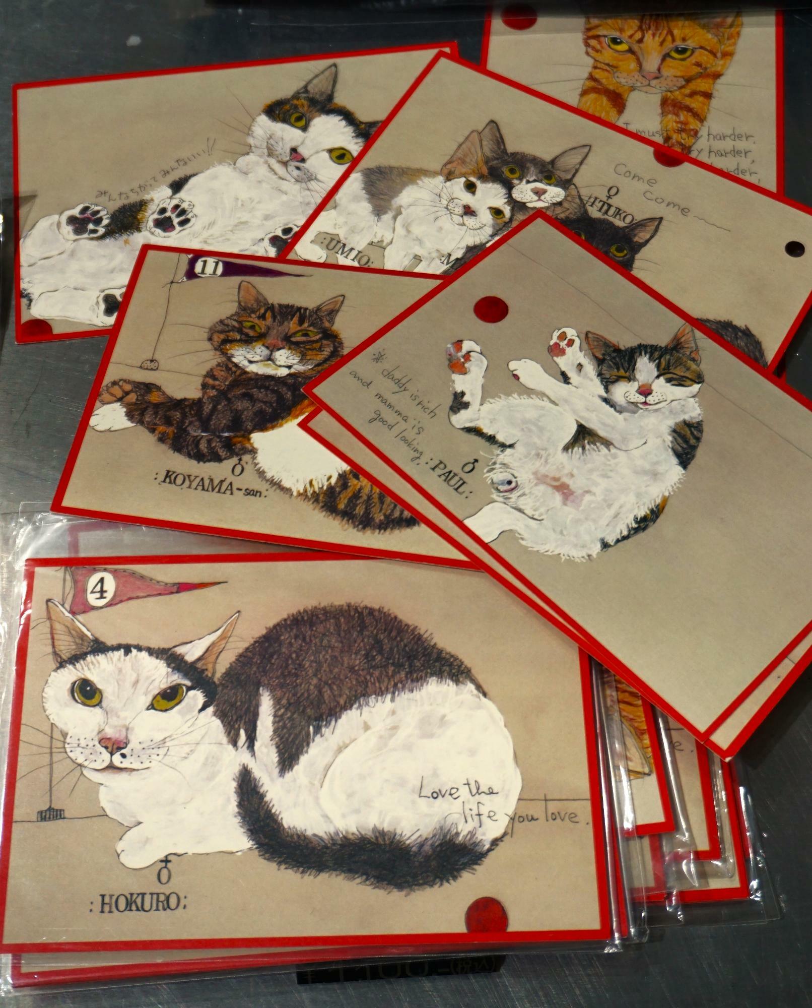 動物保護団体NPO法人ラコントレ・ミグノンの保護動物たちをアーティストのviviさんが独特なタッチで描いたポストカードセットもすてきです