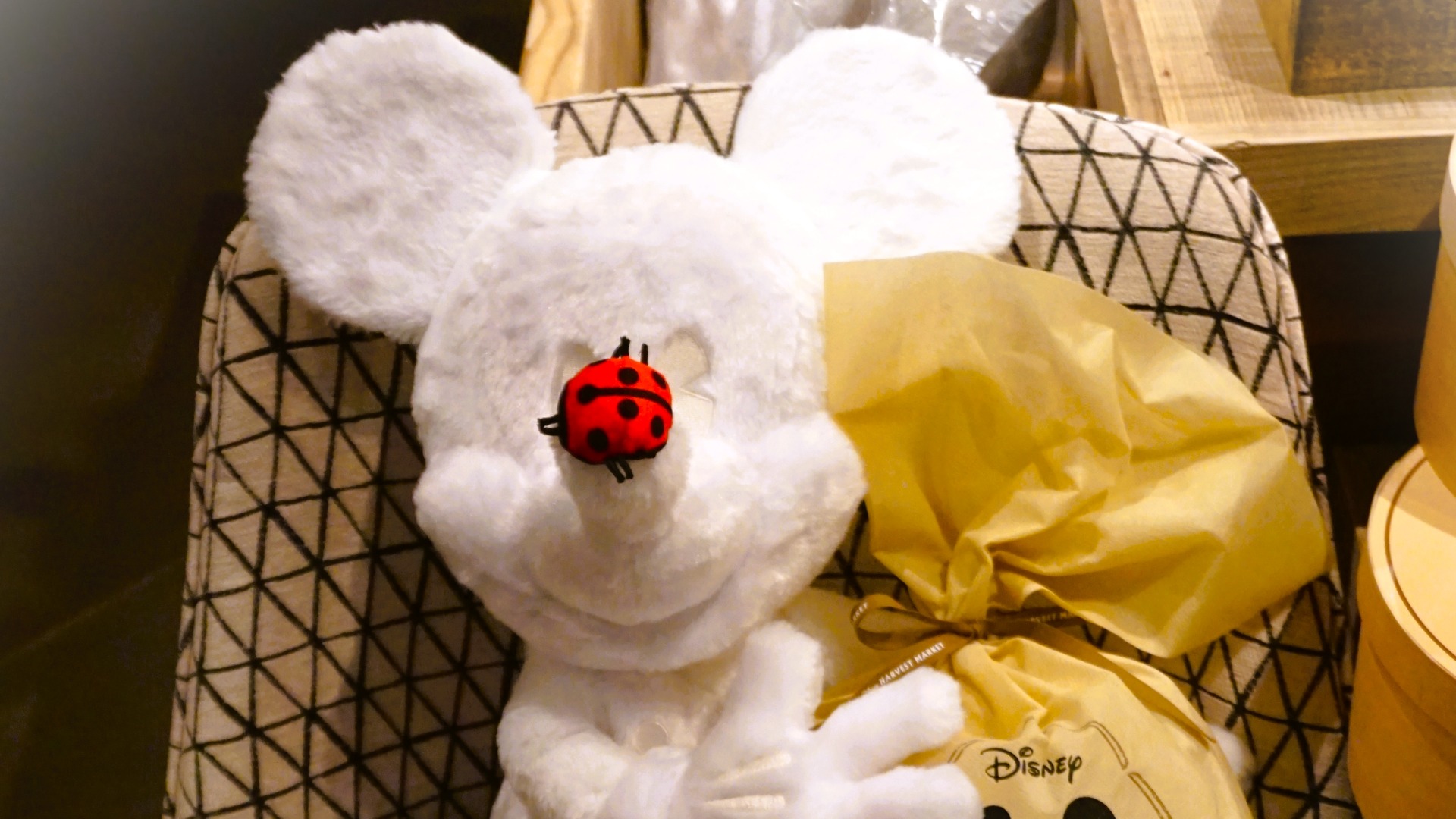 純白ミッキーにきゅん@Disney HARVEST MARKET【東京都渋谷区 純白ミッキーにきゅん@Disney HARVEST MARKET【東京都渋谷区