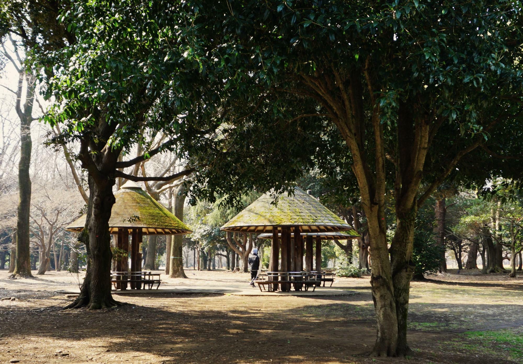 サルスベリの樹々の木陰にある「三本きのこの休憩舎」