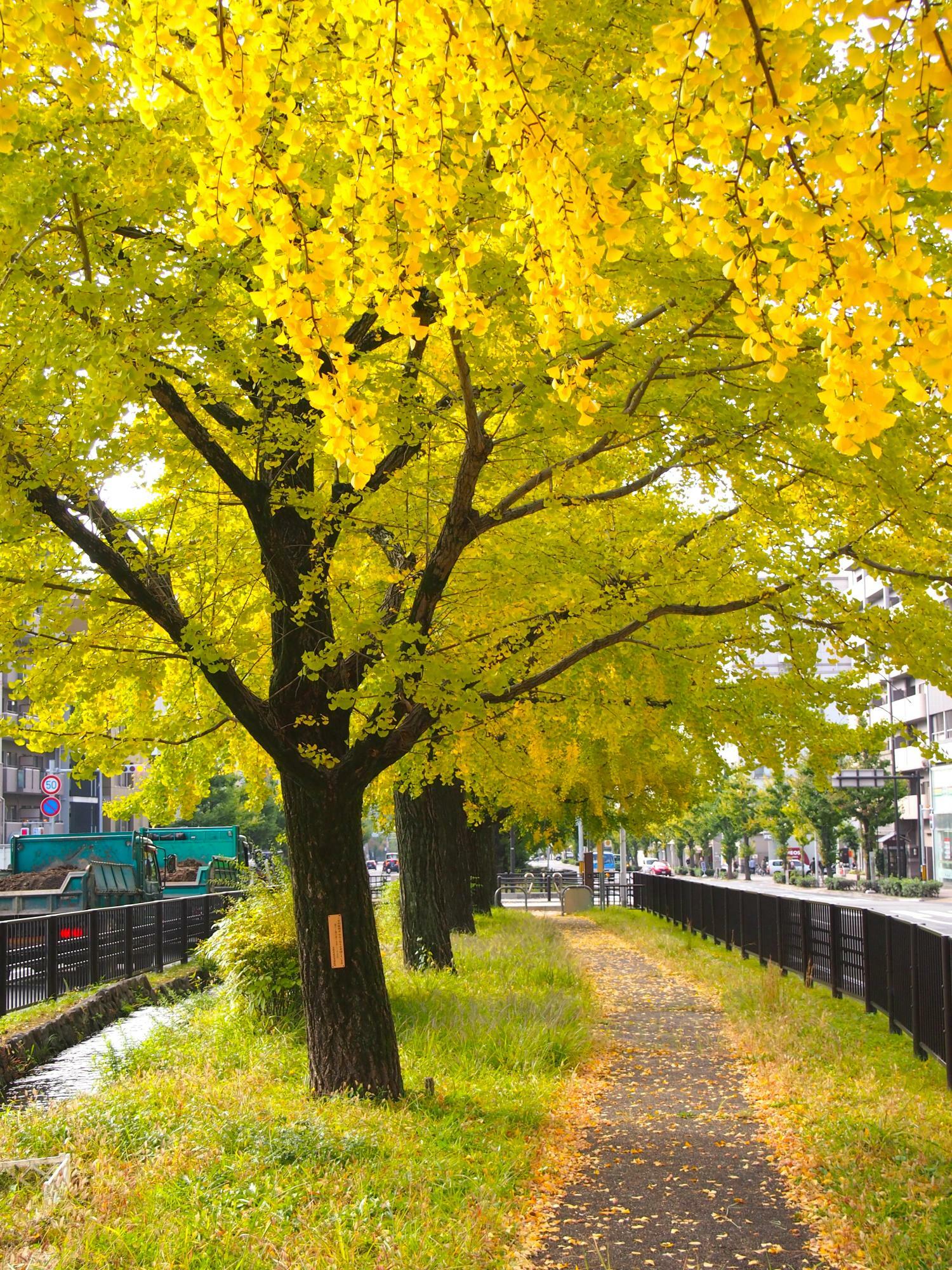 堀川せせらぎ第三公園（撮影：2022年）