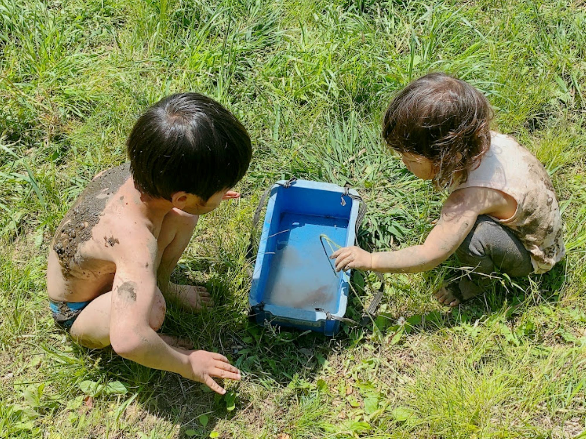 自然の中で過ごす時間は貴重ですね。