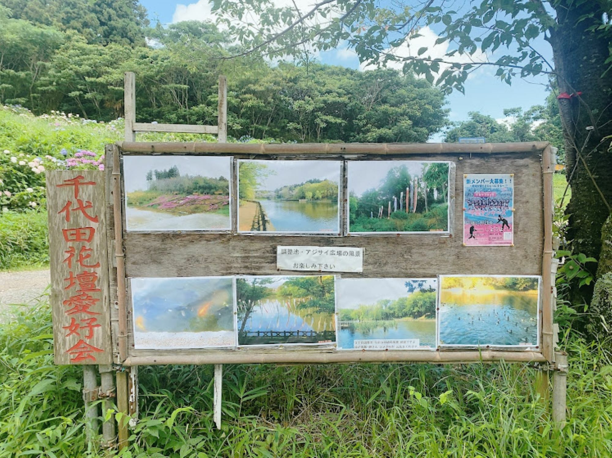 千代田調整池を撮影した写真の数々。