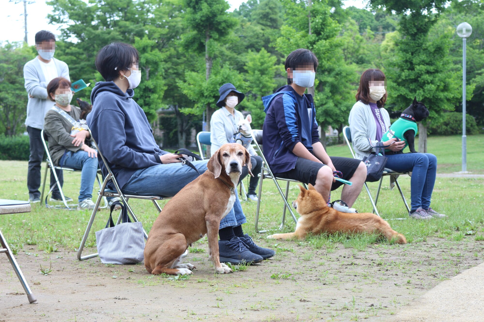 資料提供：日本ペット飼育協会