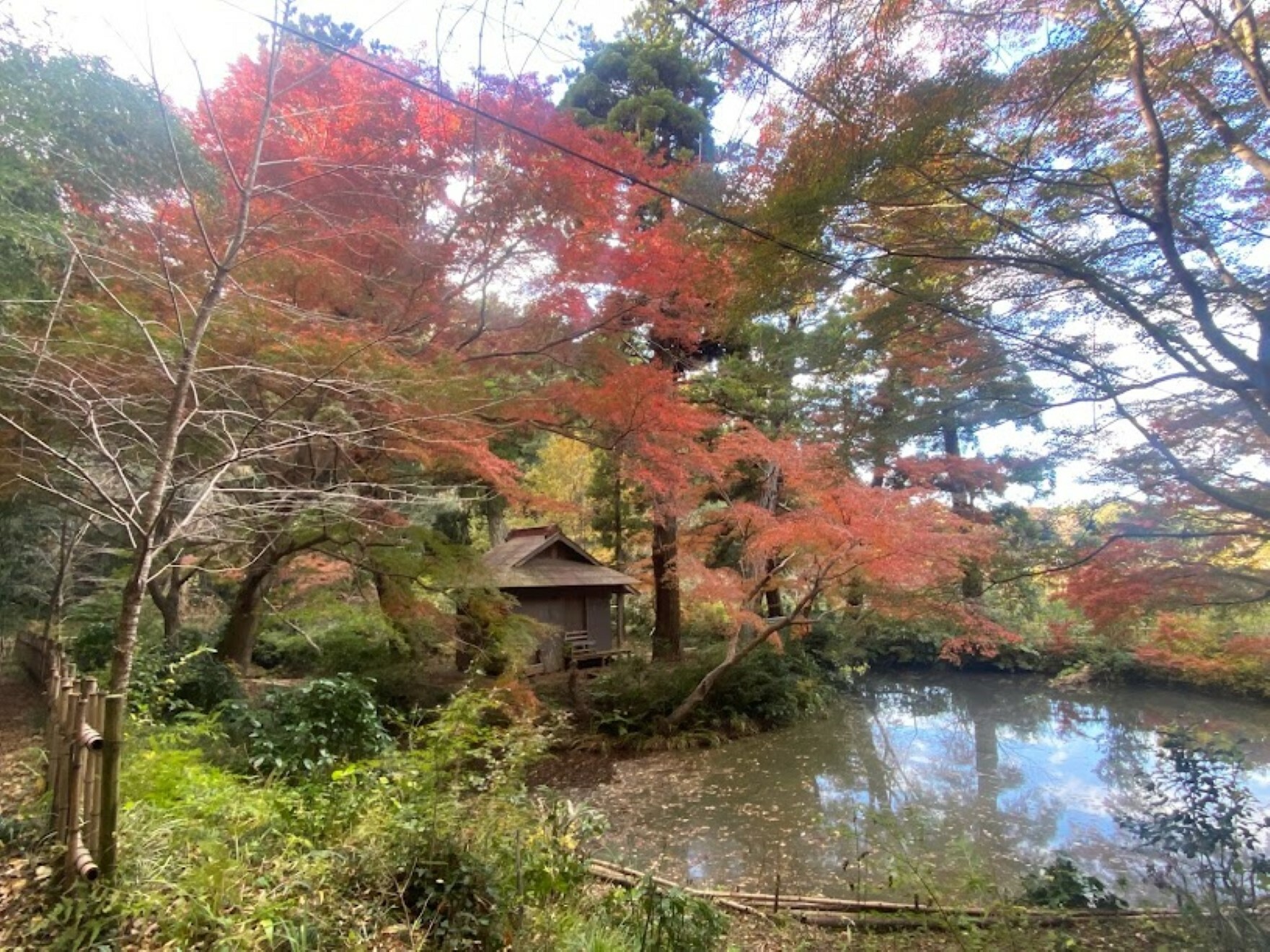 湧き水が作る池と美しい紅葉が素晴らしい場所です。