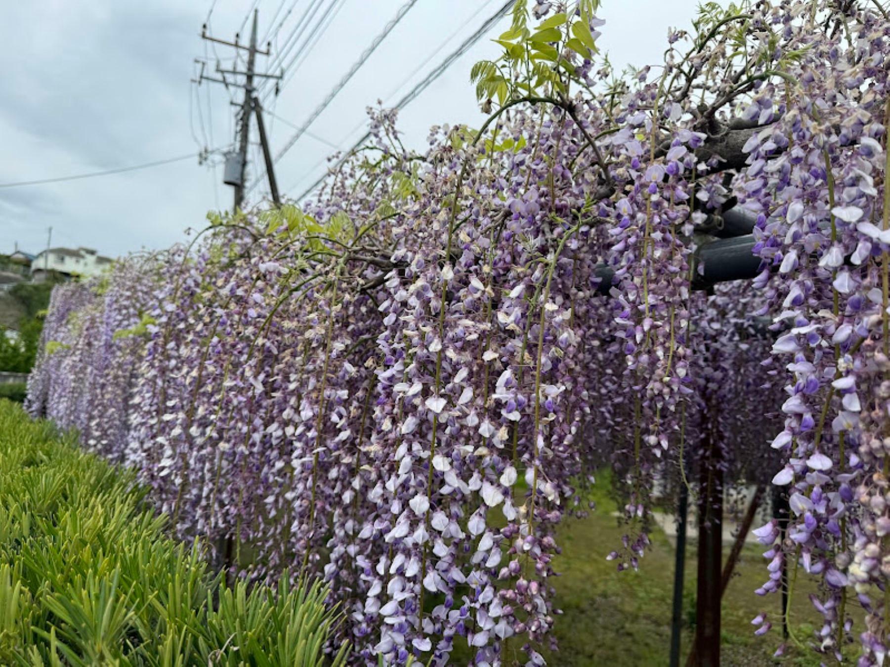 ※写真は2024年4月27日に撮影したものです。