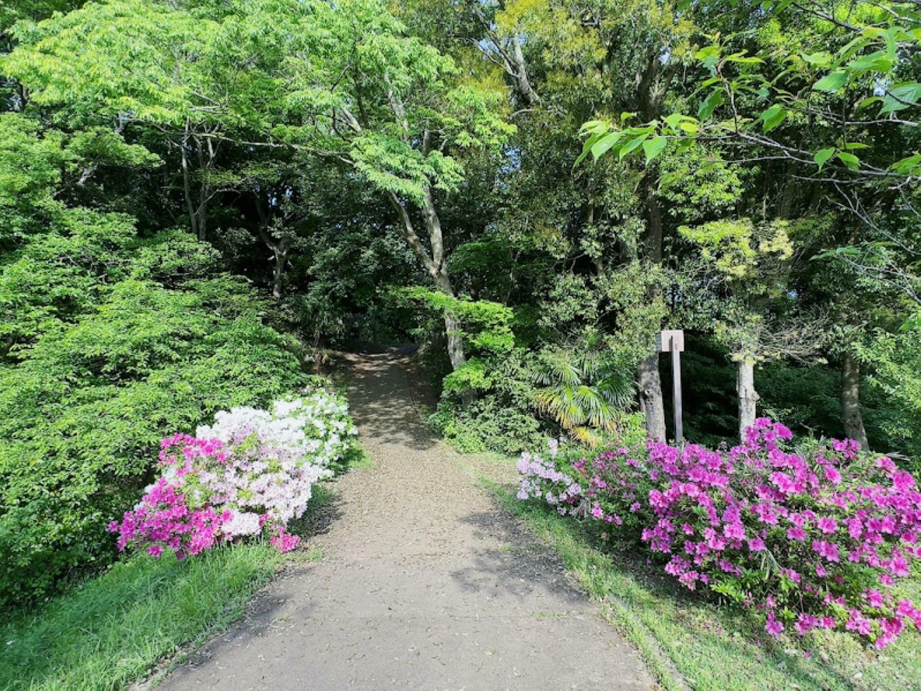 ※写真は2024年4月28日に撮影したものです。