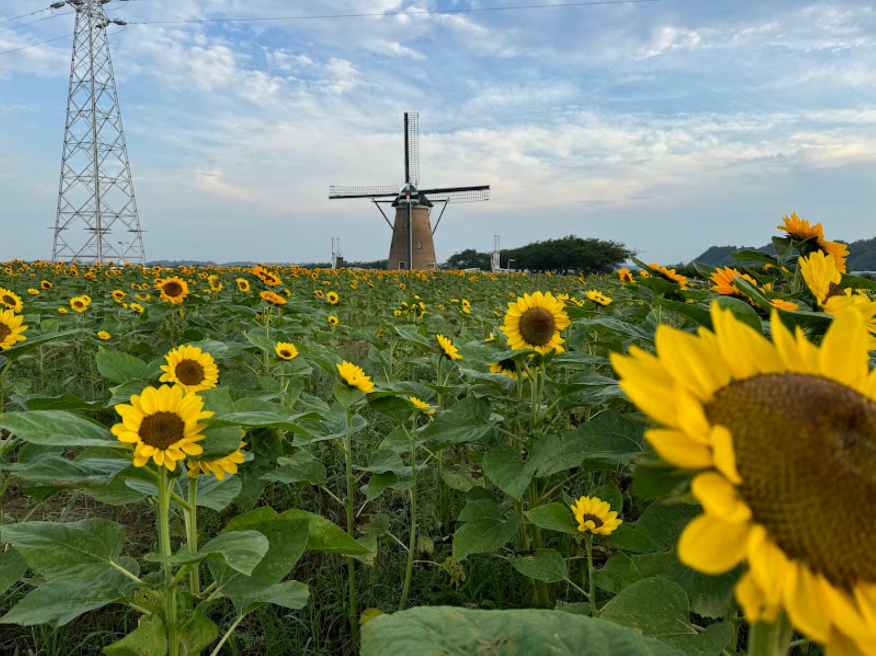 ※写真は2024年7月8日（月）に撮影したものです。