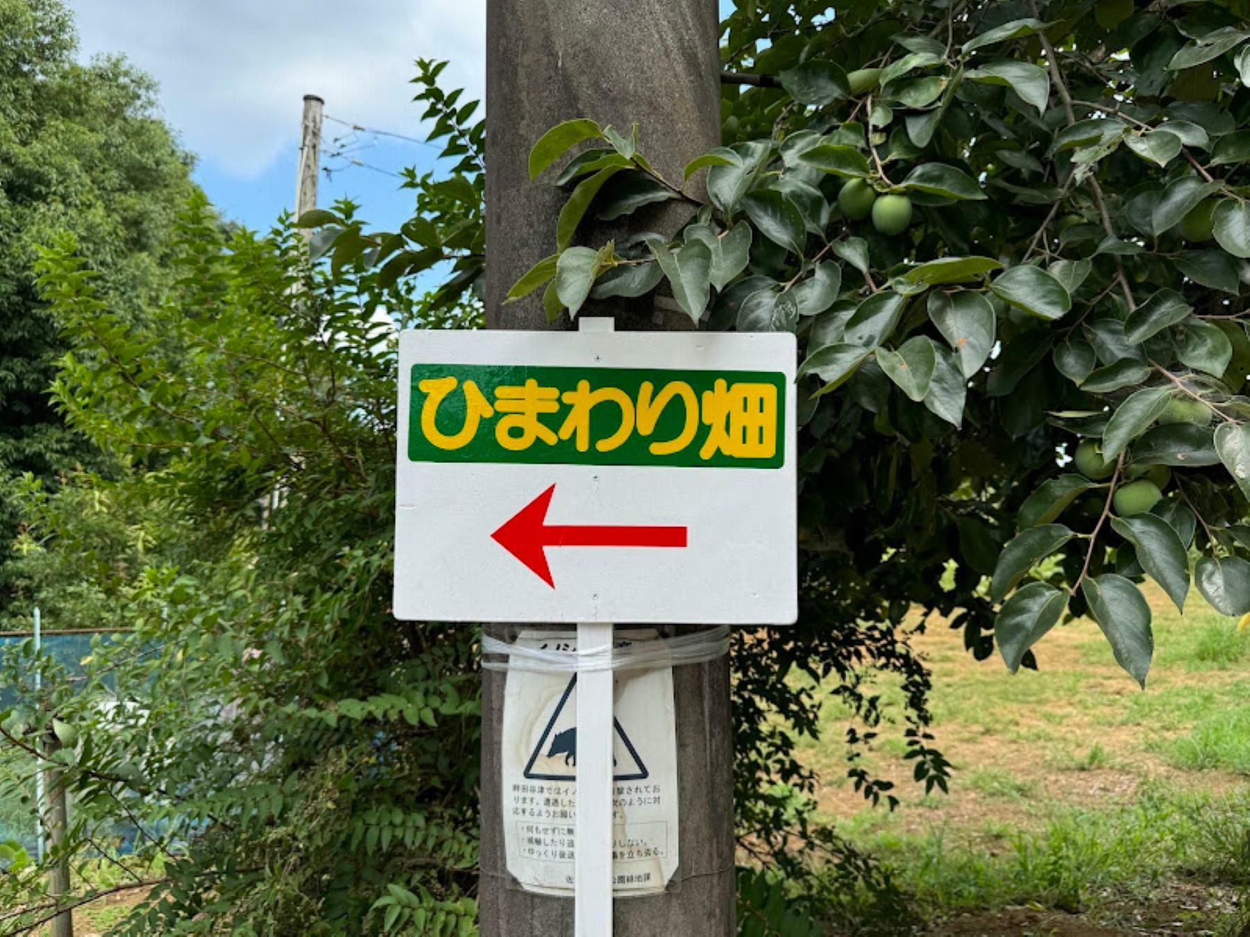 小さな看板がかかっていました。