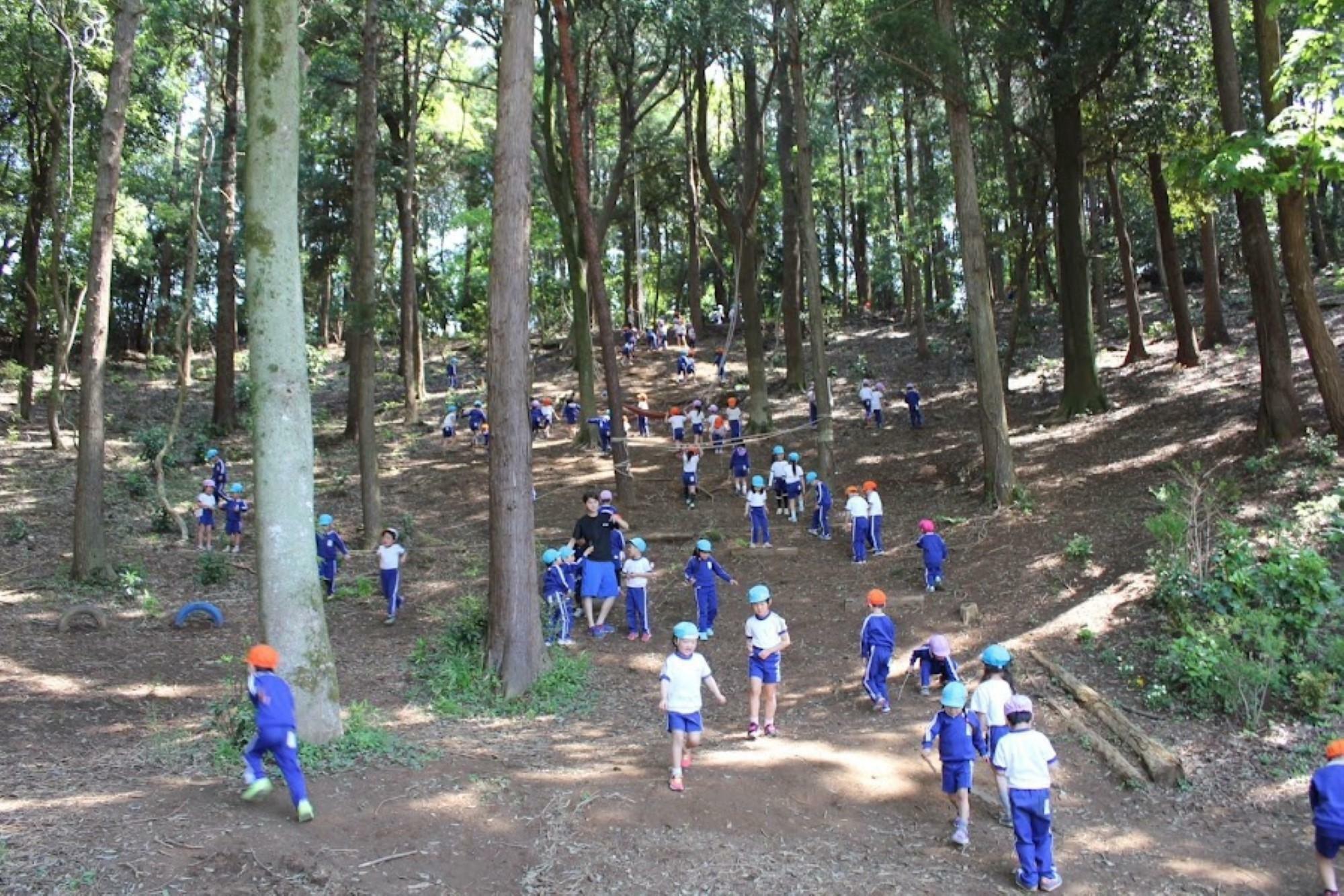 ※提供：学校法人千成学園 千成幼稚園 様