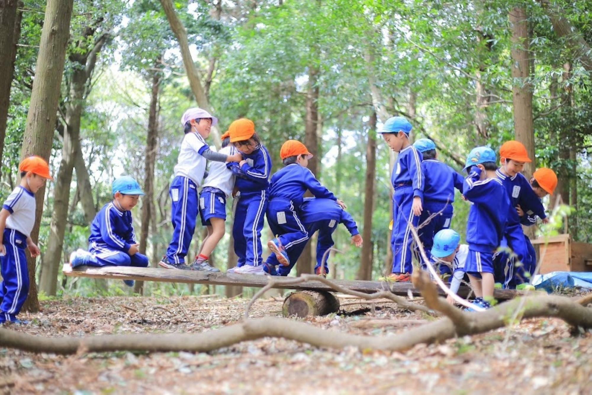 ※提供：学校法人千成学園 千成幼稚園 様