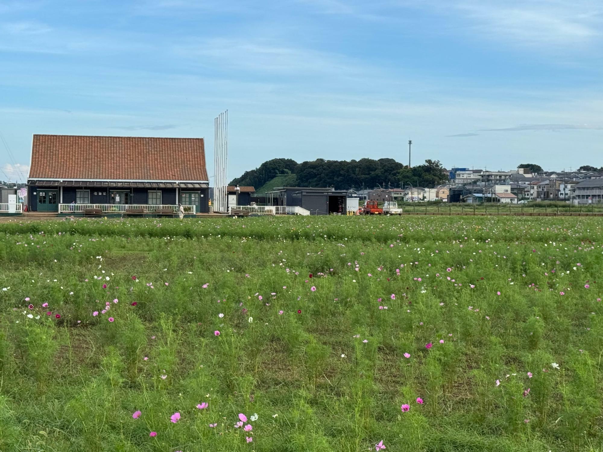 ※写真は2024年10月2日に撮影したものです。