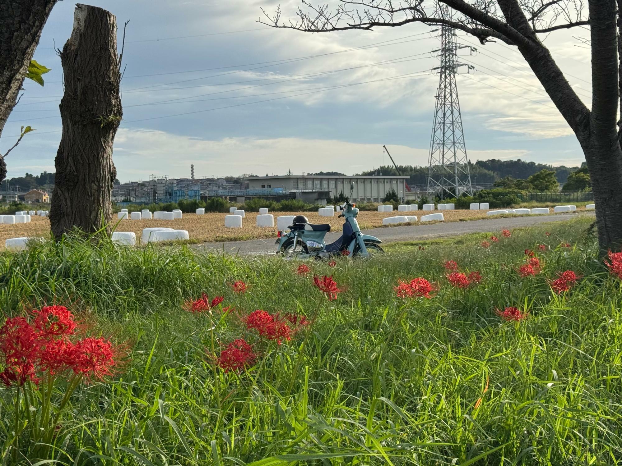 ※写真は2024年10月2日に撮影したものです。