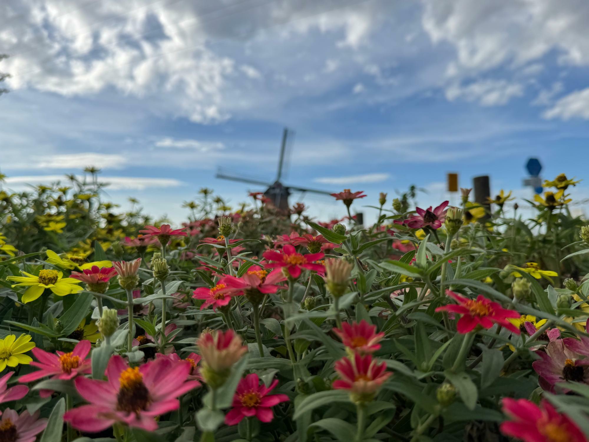 ※写真は2024年10月2日に撮影したものです。