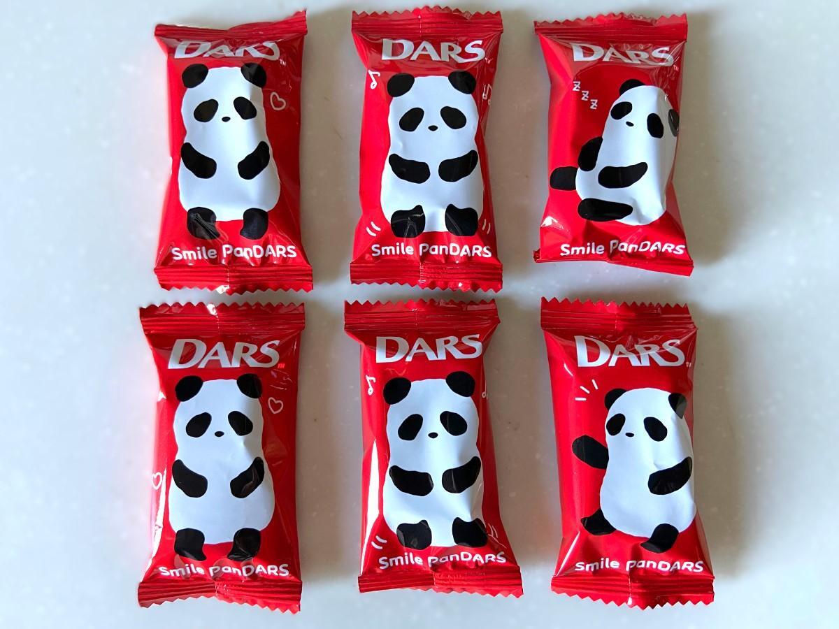 数量限定!ダースがパンダになっちゃった!入手方法は?(舞 数量限定!ダースがパンダになっちゃった!入手方法は?(舞
