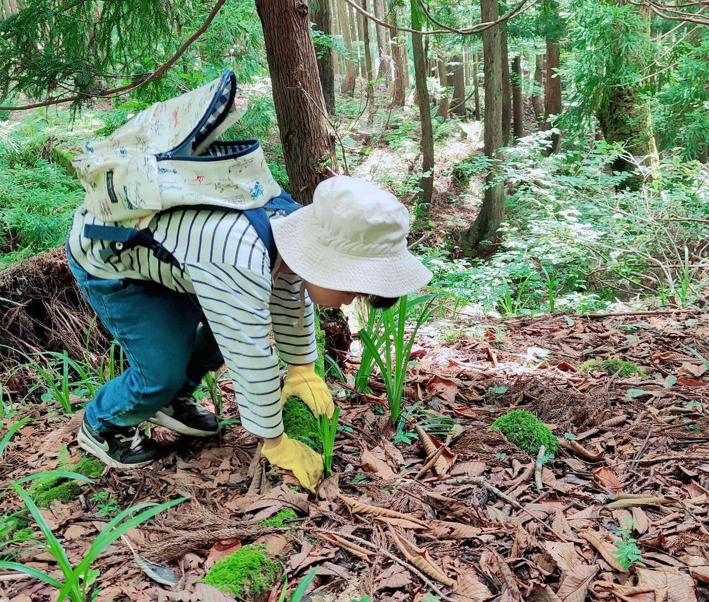 次男、大好きな冬虫夏草探しのスタイル。この後リュックの中身が降り注ぎます