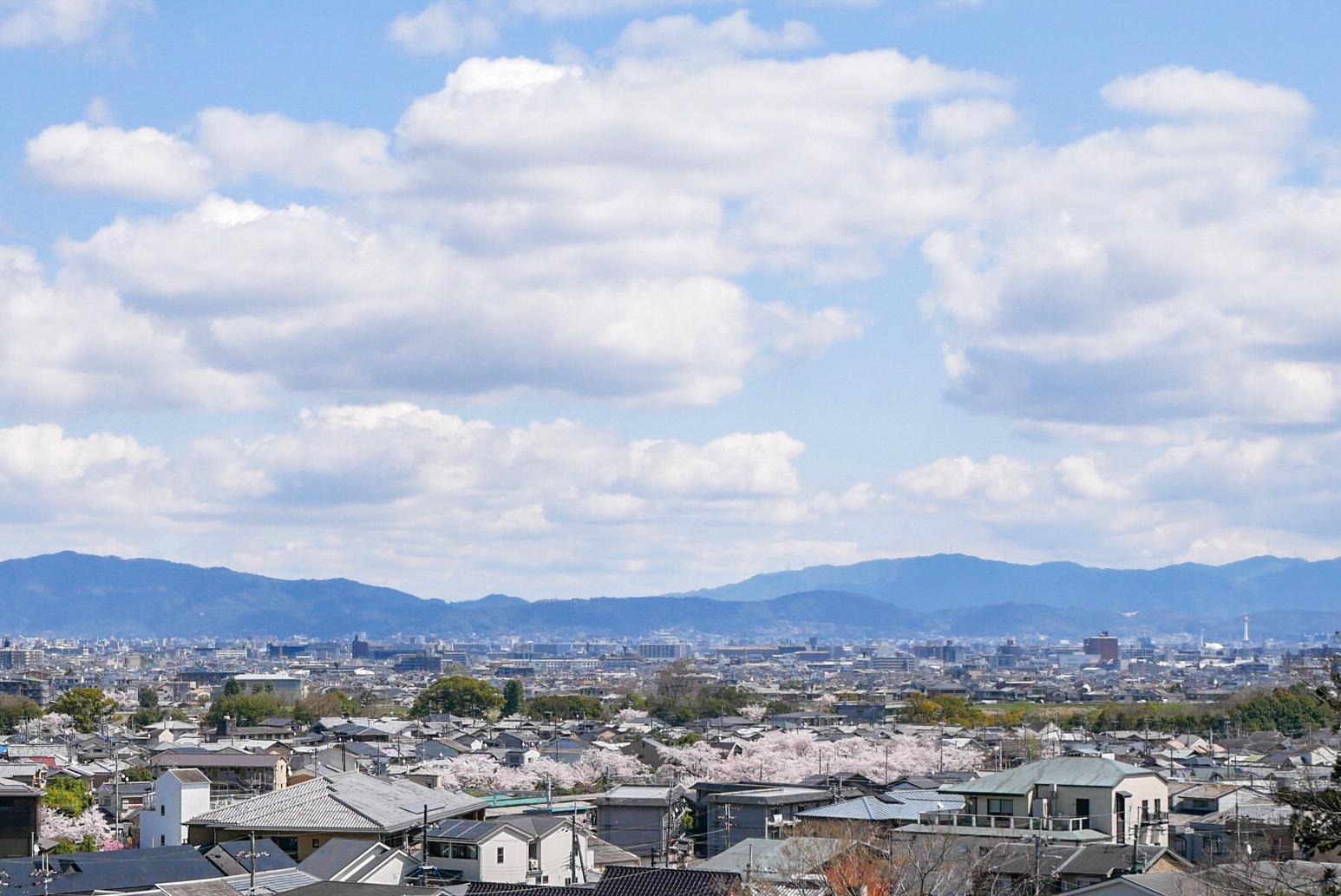 遠くには京都タワーも（写真右端）