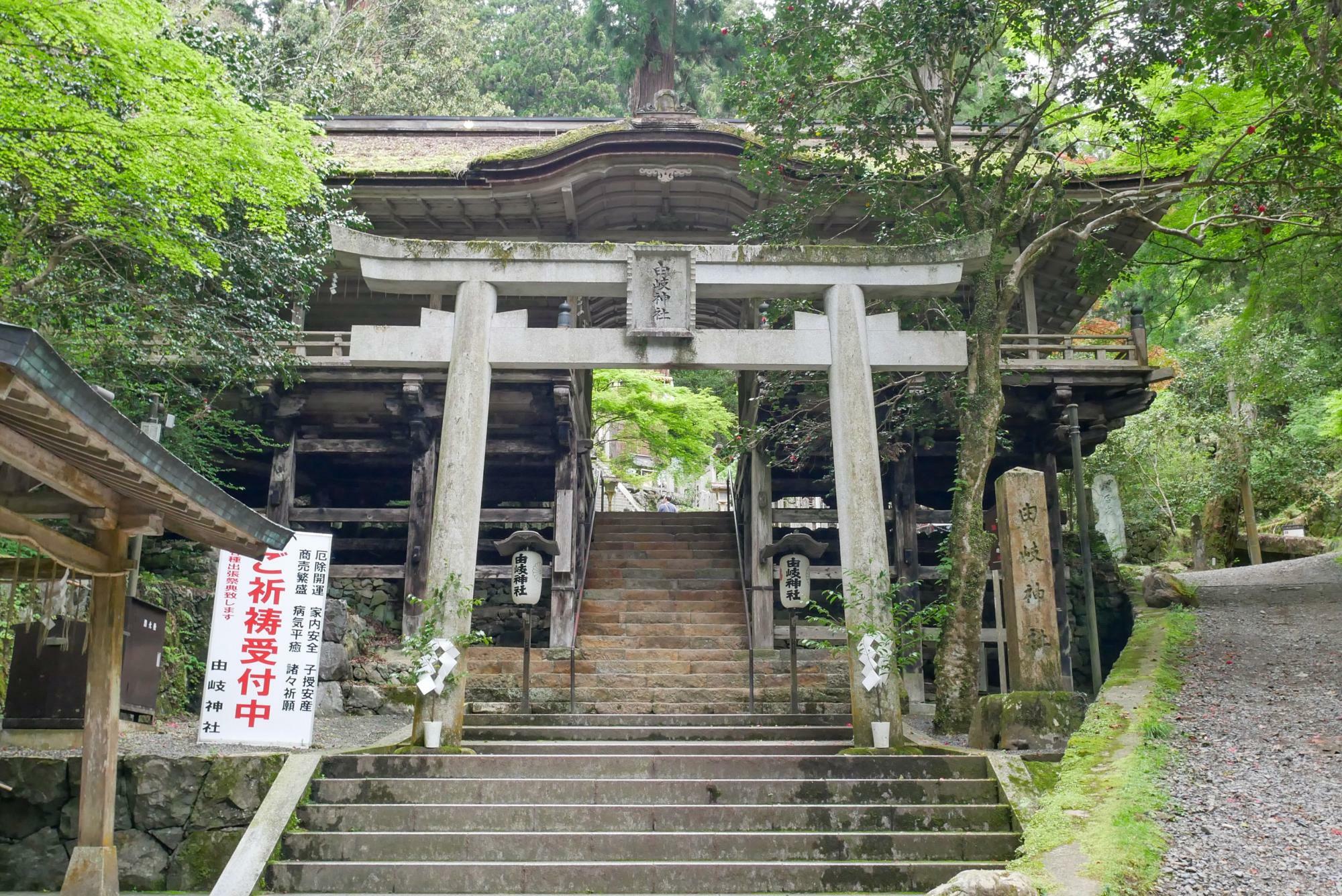 九十九折山道にある「由岐神社」。「大杉さん」の愛称で親しまれている御神木が見守っています。