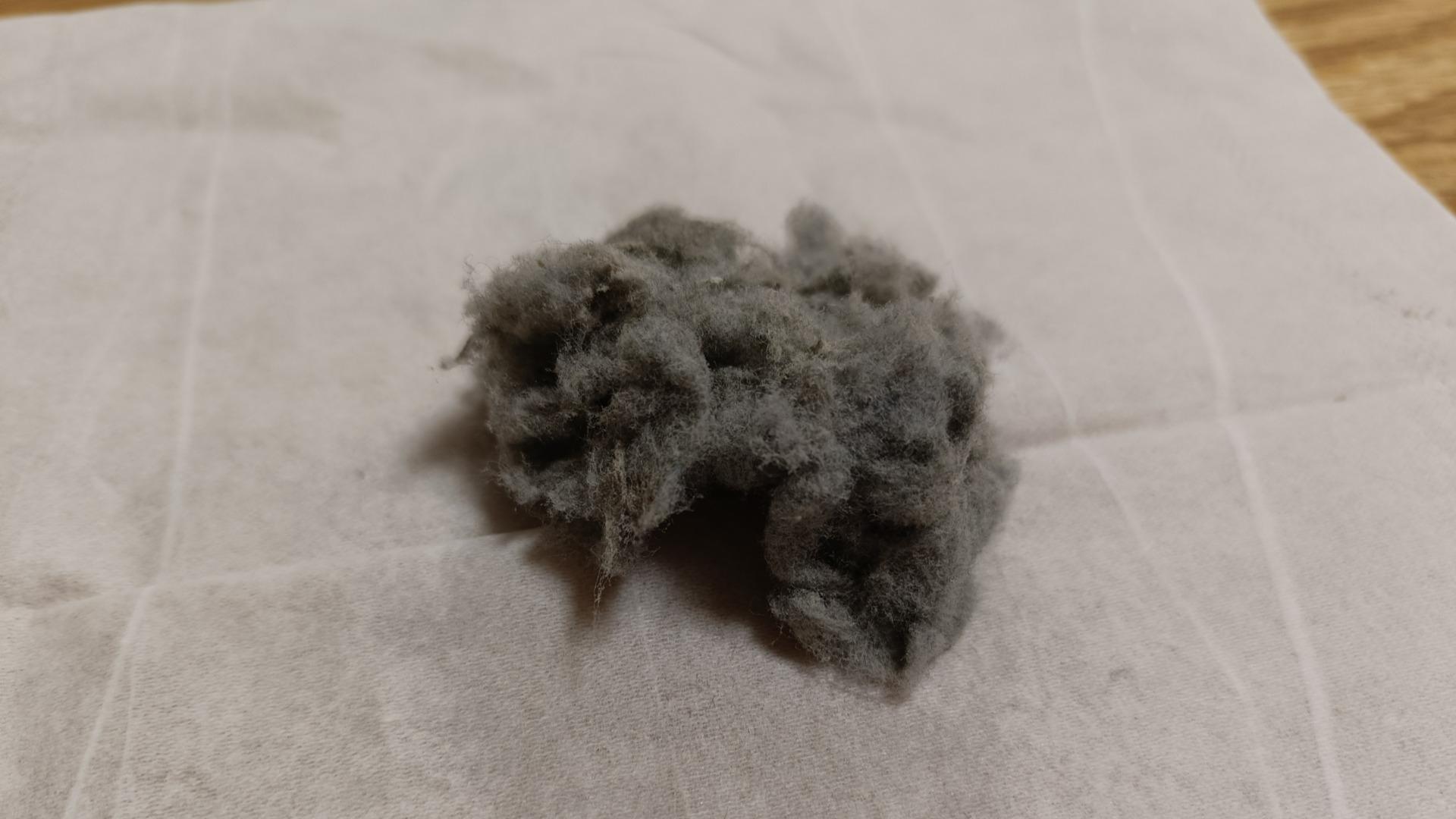 家じゅうのホコリはどこから来る？元家政婦がチェックする盲点の場所と