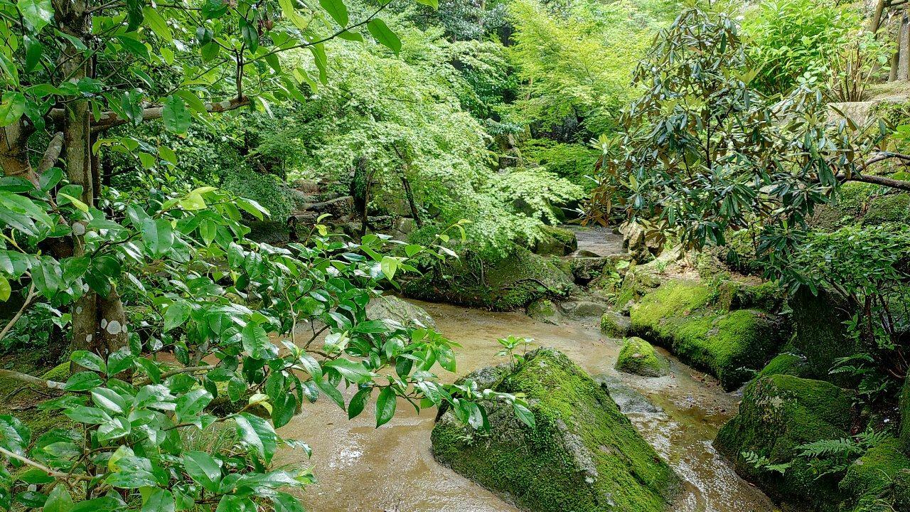 階段を登る途中の景色