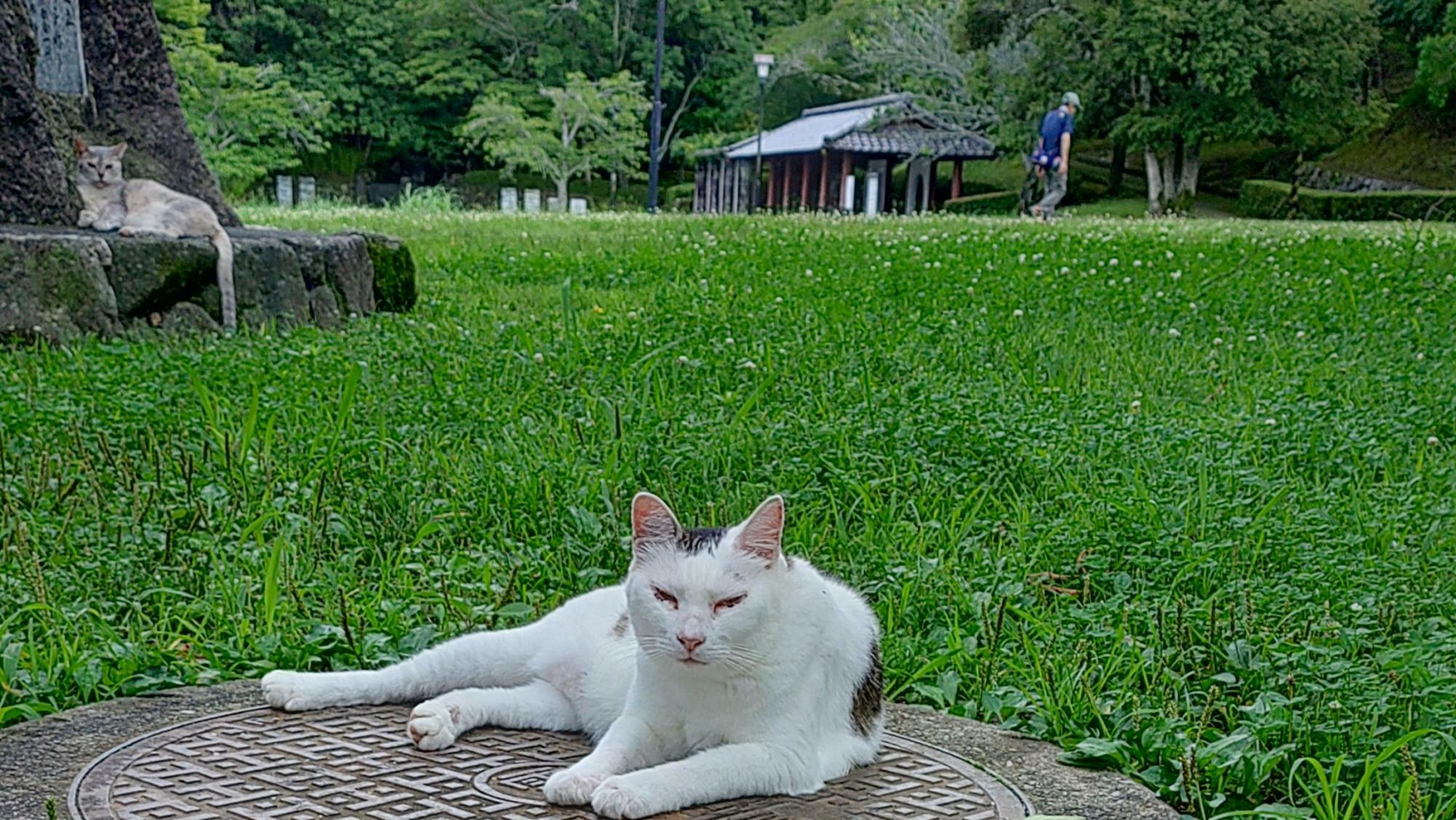 天拝山歴史自然公園