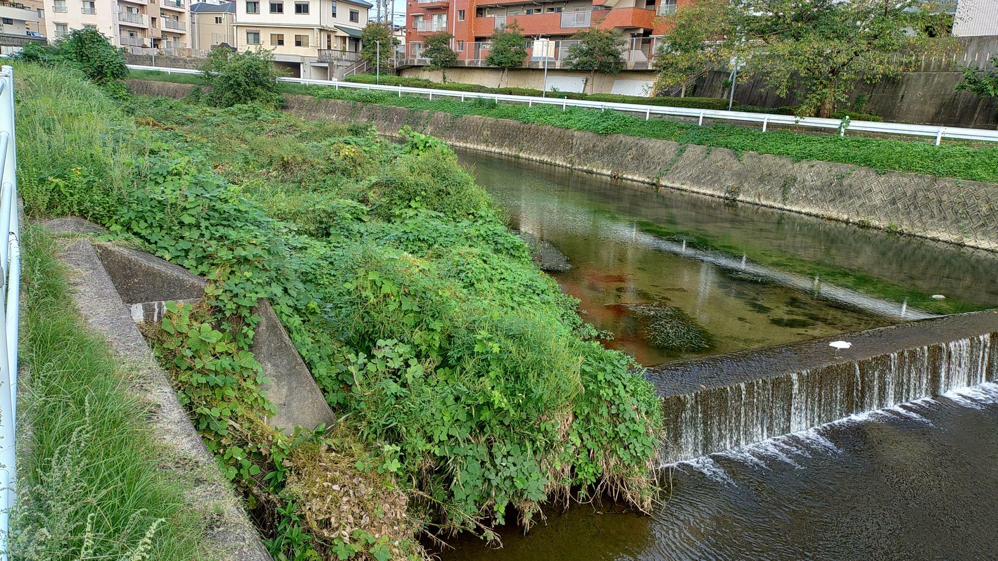 御笠川