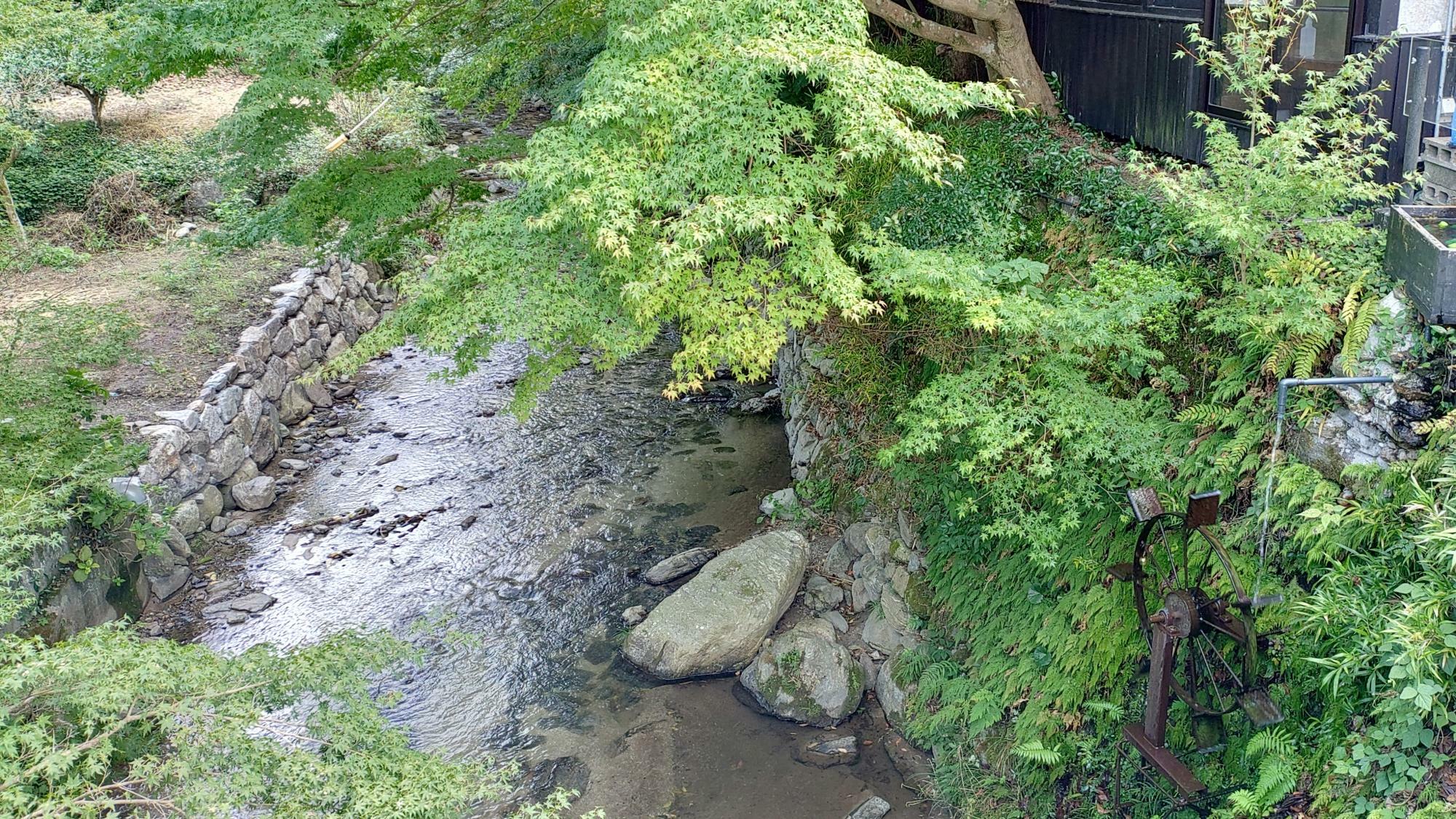 秋月の風景