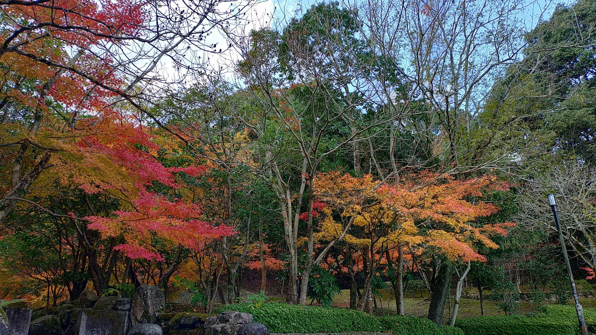 天拝山歴史自然公園