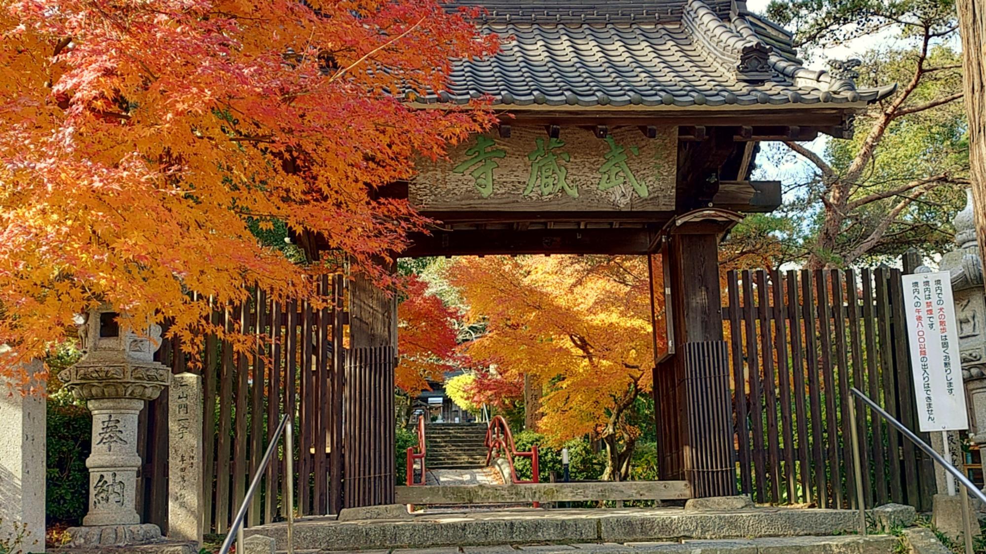 武蔵寺の紅葉