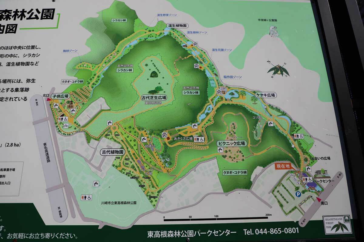 公園の全体マップ