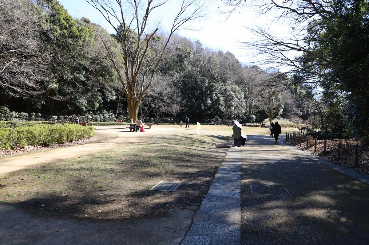 広い散歩道が続いています