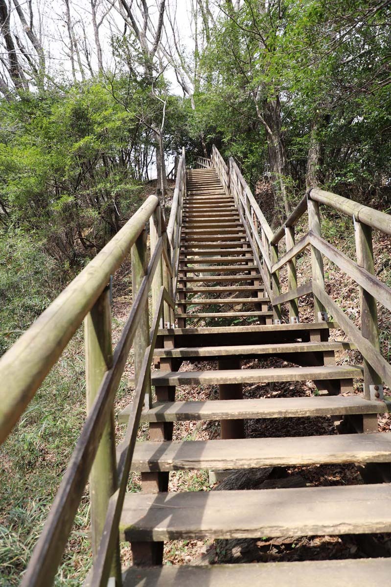 木製の長くて急な階段