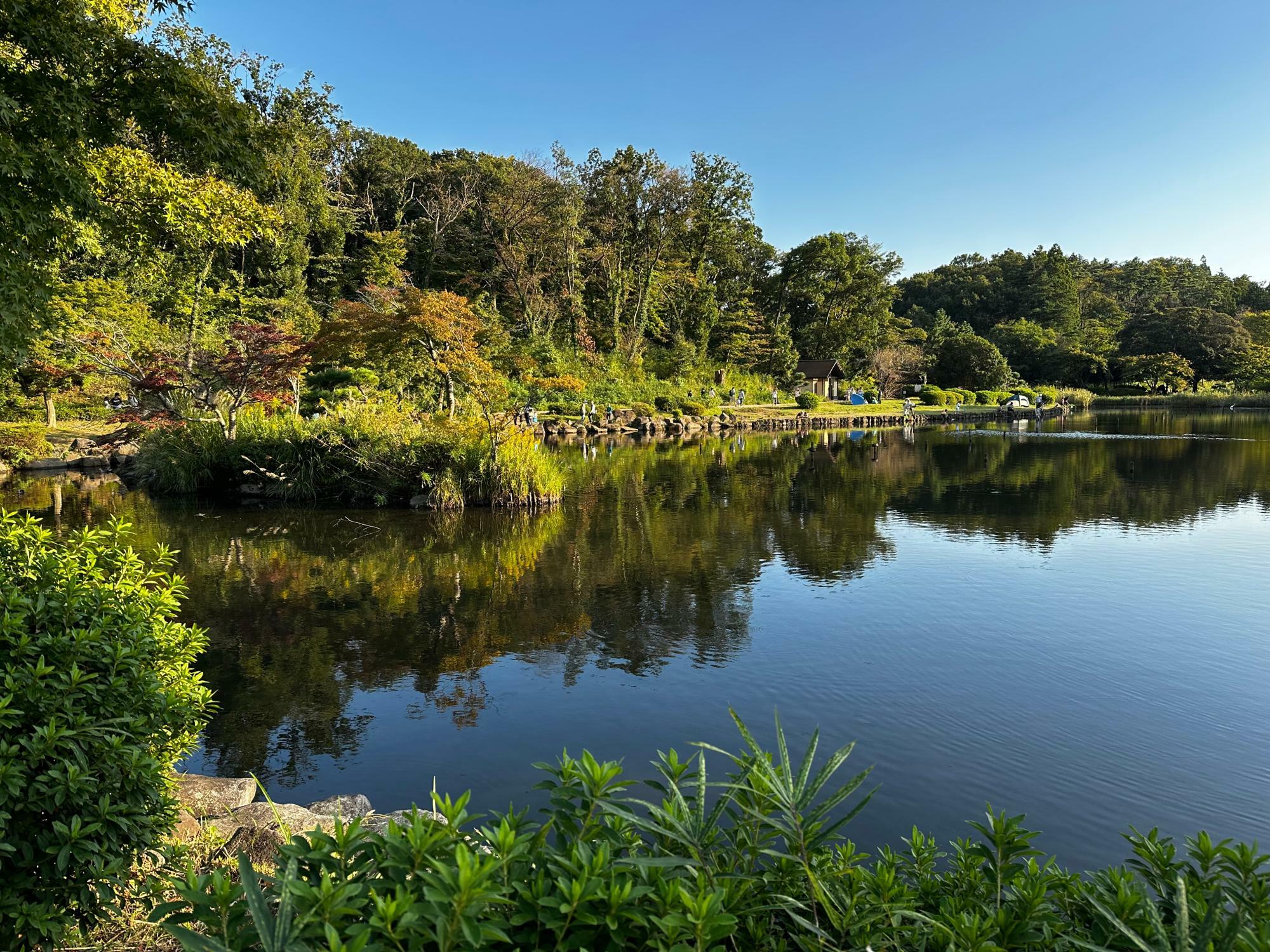 公園のシンボル「大池」