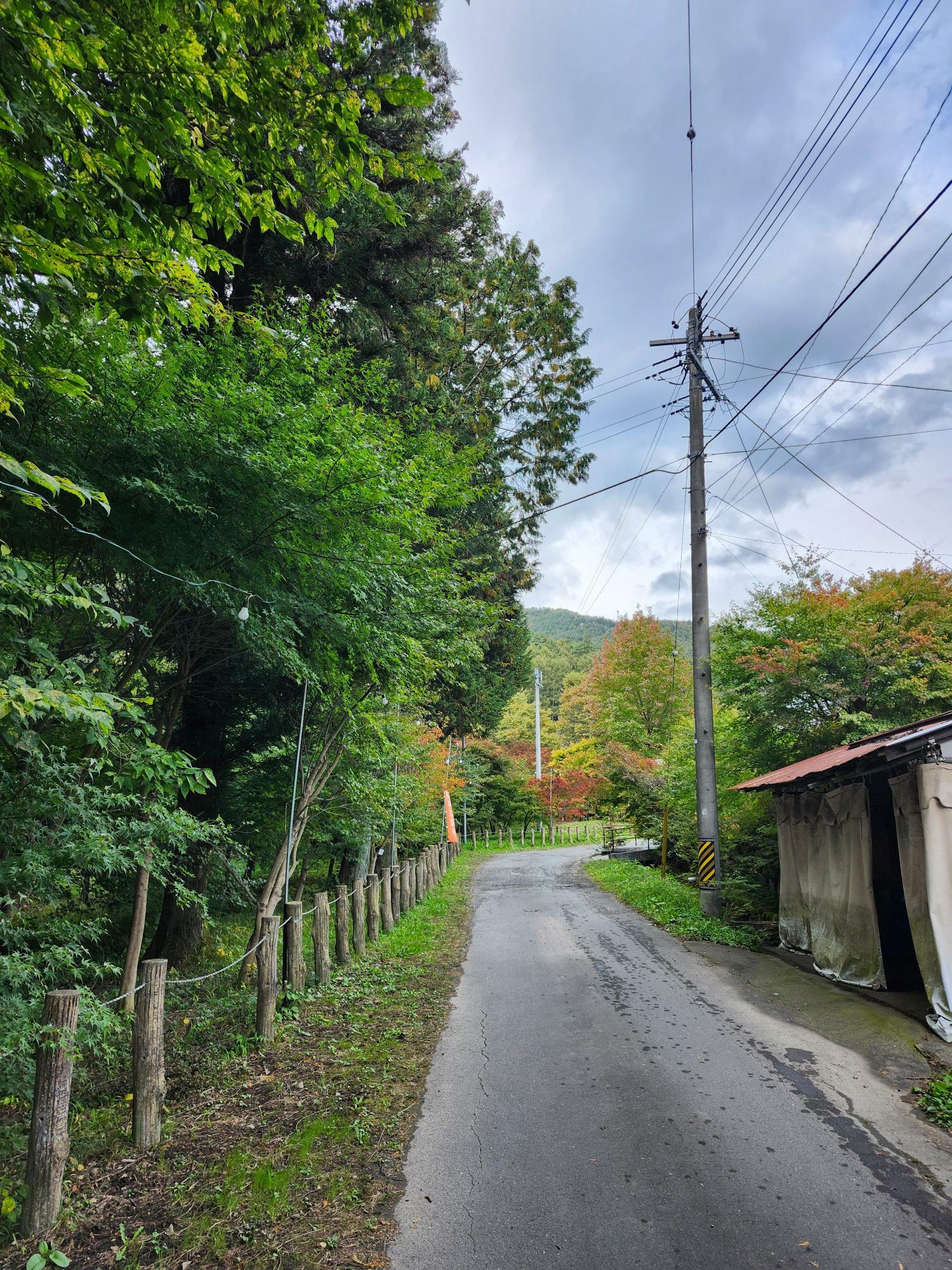 駐車場からは少し歩きます。