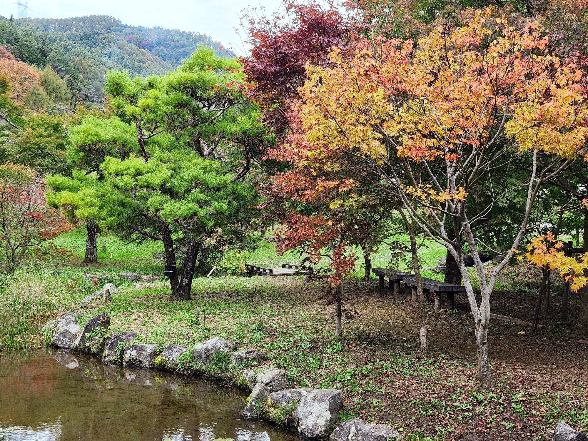 出早公園内