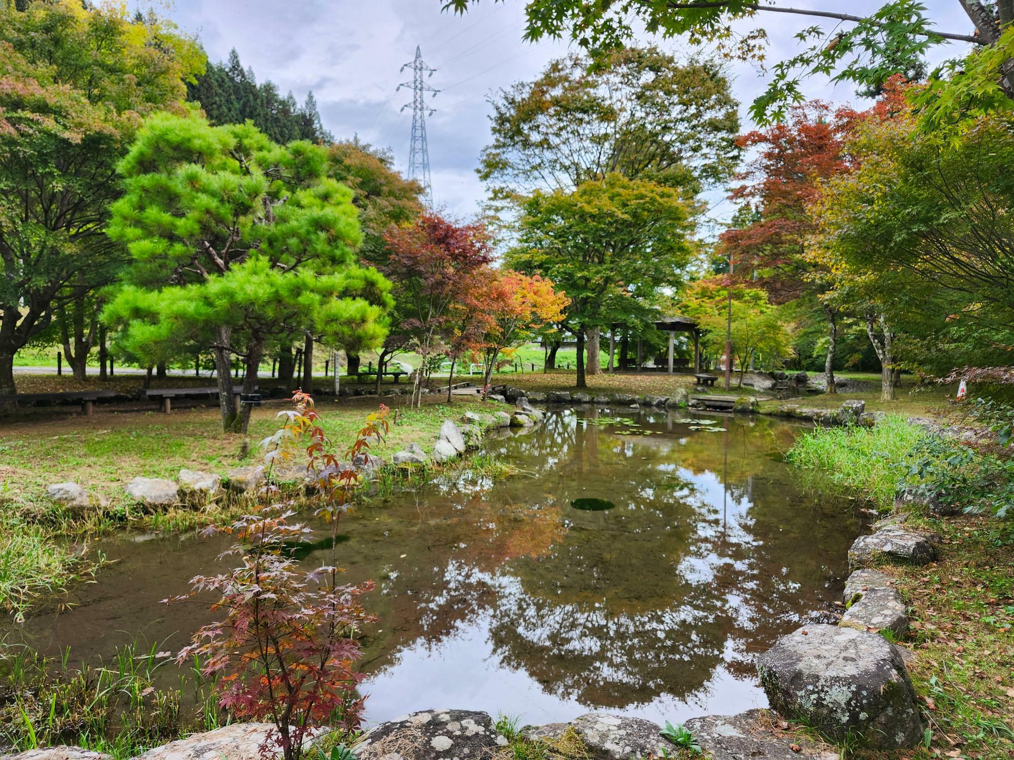 紅葉が色付き始めた公園内