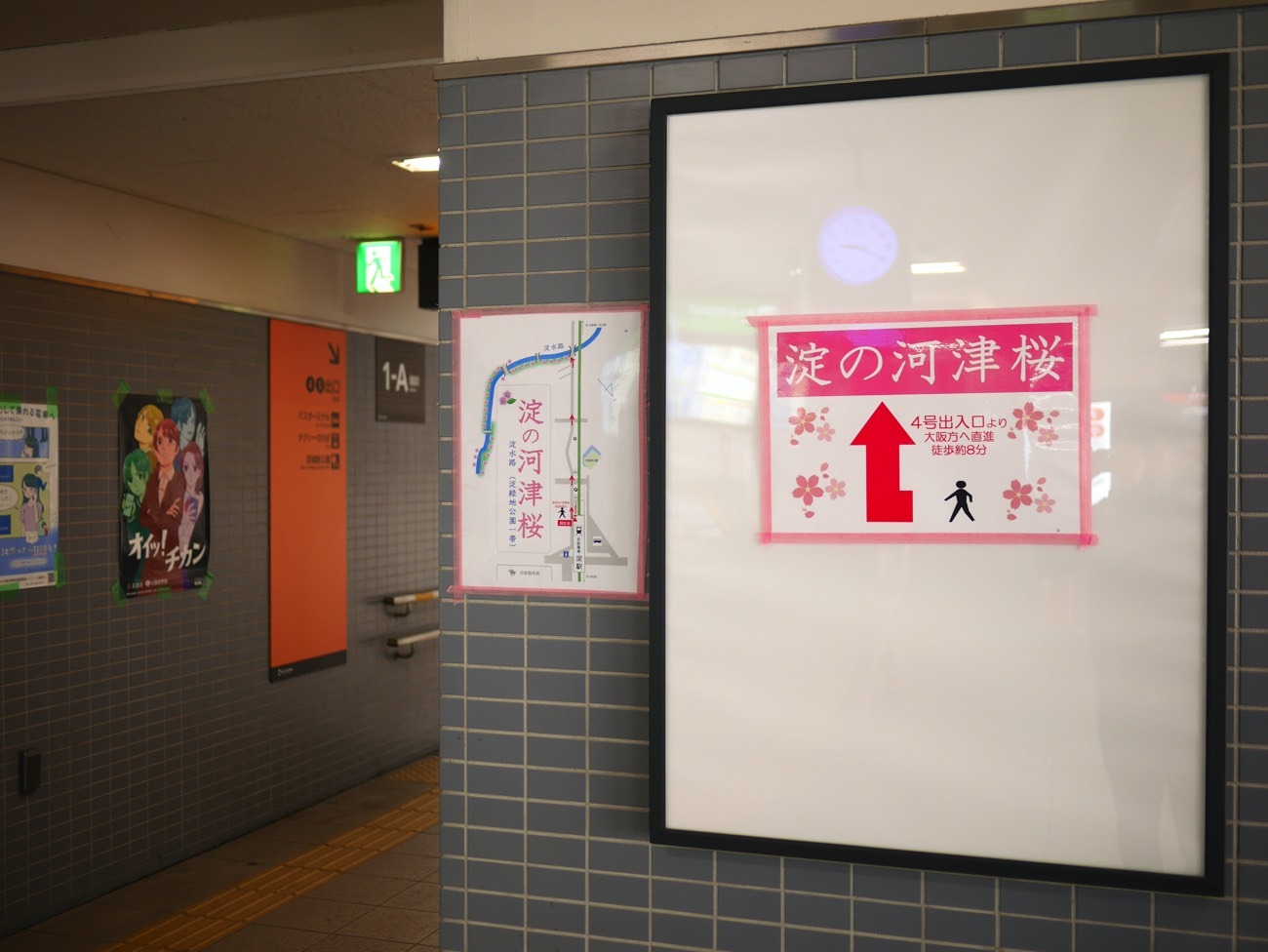 京阪・淀駅の壁に案内が貼り出される