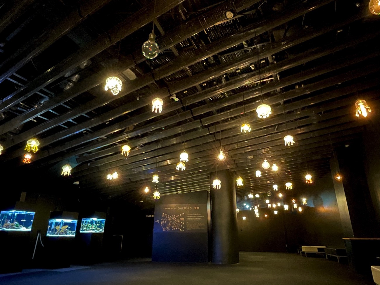 交流プラザの天井に約60個のクラゲランプが装飾されている