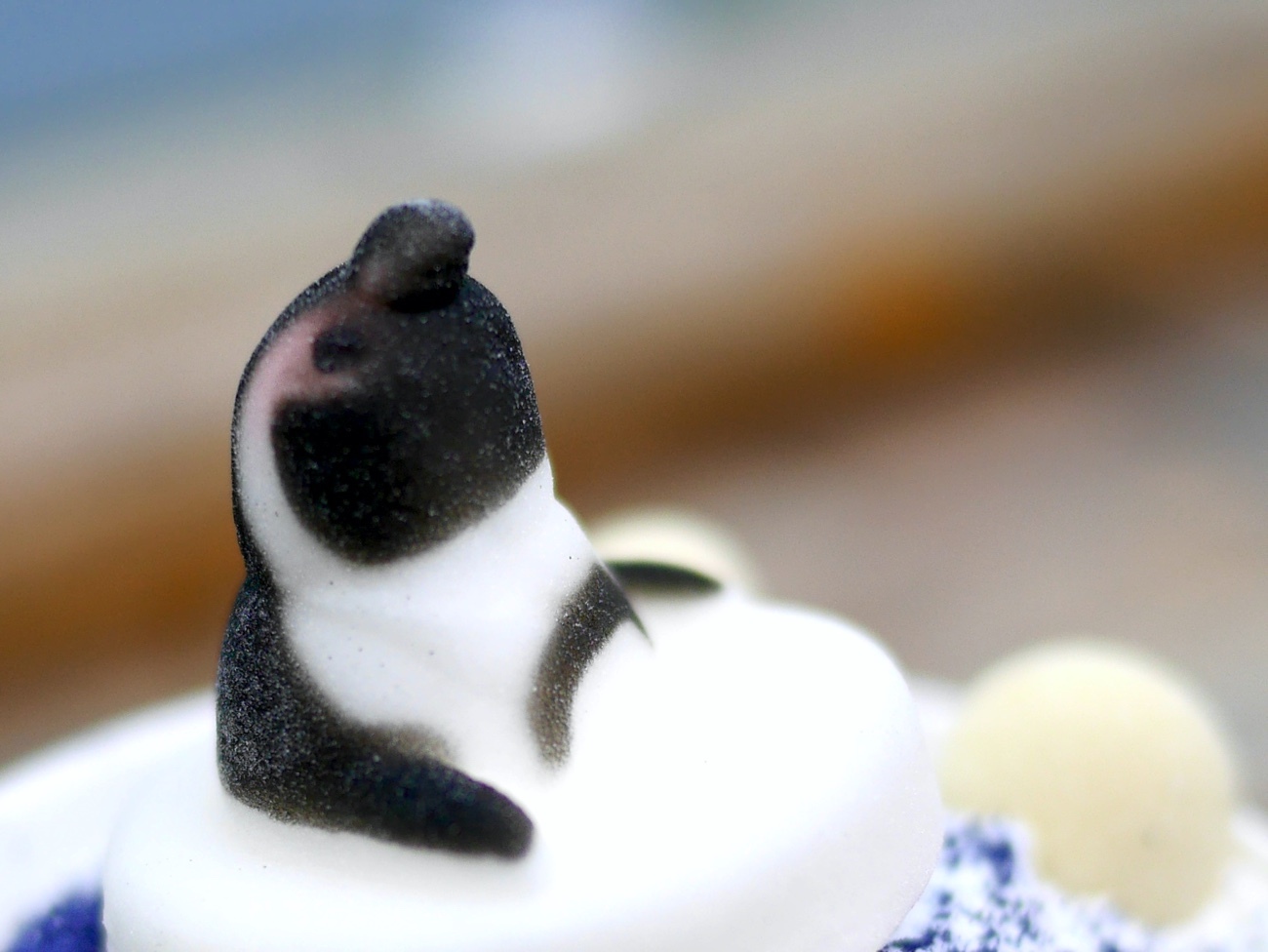 愛くるしい表情で見上げるペンギン
